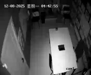 Caméra IP - Georgia