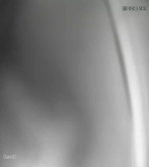 Caméra IP - Saudi Arabia