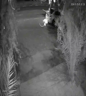 Caméra IP - Émirats Arabes Unis