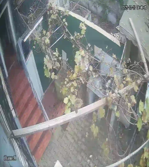 Caméra IP - Türkiye