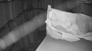 Caméra IP - Corée du Sud