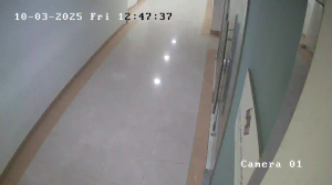 Caméra IP - Saudi-Arabien