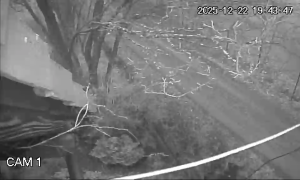 Caméra IP - Rumanía