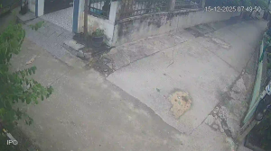 Caméra IP - Vietnam