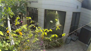 Caméra IP - United Arab Emirates