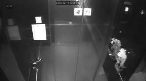 Caméra IP - South Korea