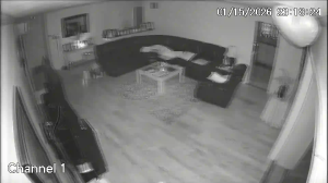 Caméra IP - United States of America