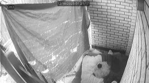 Caméra IP - Estados Unidos