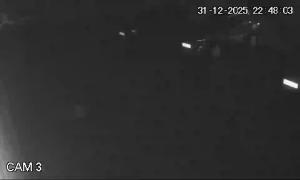 Caméra IP - Denmark