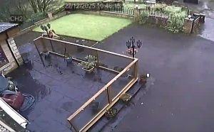 Caméra IP - Reino Unido