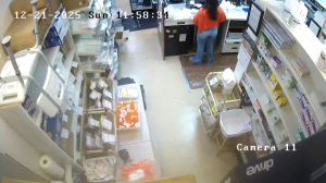 Caméra IP - Vereinigte Staaten von Amerika