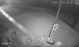 Caméra IP - Bulgarie