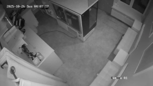 Caméra IP - Russian Federation