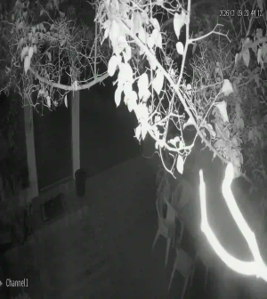 Caméra IP - Marokko