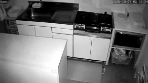 Caméra IP - Japan