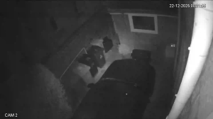 Caméra IP - Reino Unido