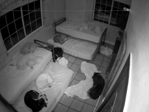 Caméra IP - United States of America