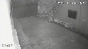 Caméra IP - Vietnam