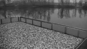 Caméra IP - Croacia