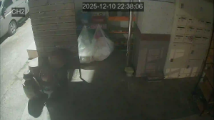 Caméra IP - Südkorea