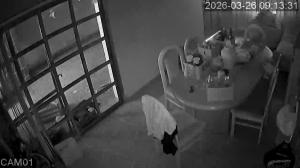 Caméra IP - Argentina