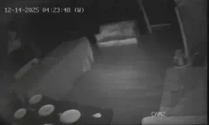 Caméra IP - Turquie