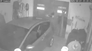 Caméra IP - Polen