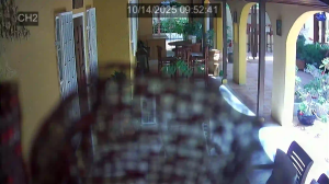 Caméra IP - Curaçao