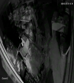 Caméra IP - Thailand