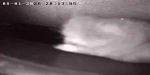 Caméra IP - Frankreich