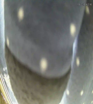 Caméra IP - Tunisia