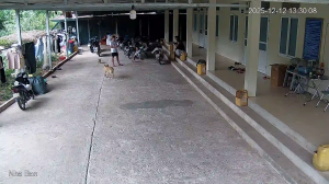 Caméra IP - Vietnam