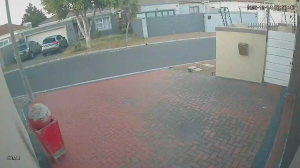 Caméra IP - Vue en direct