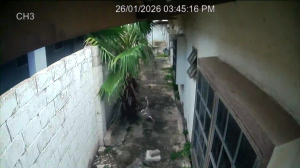 Caméra IP - Curaçao