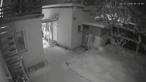 Caméra IP - Roumanie