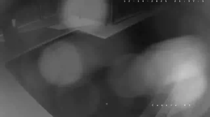 Caméra IP - Australien