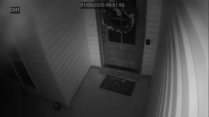 Caméra IP - United States of America