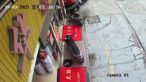 Caméra IP - China