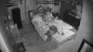 Caméra IP - États-Unis d'Amérique