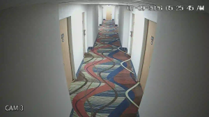 Caméra IP - United States of America