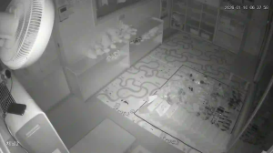 Caméra IP - South Korea