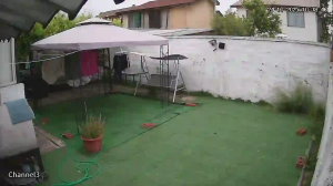 Caméra IP - Chili