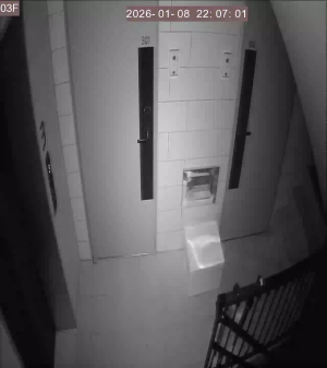 Caméra IP - South Korea