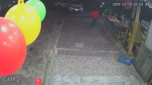 Caméra IP - Hungary