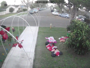 Caméra IP - Stati Uniti d'America