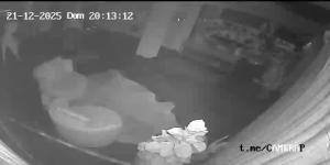 Caméra IP - Brasilien