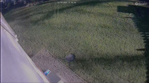 Caméra IP - États-Unis d'Amérique