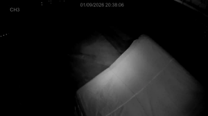 Caméra IP - South Korea