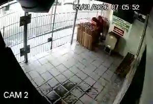 Caméra IP - Vue en direct