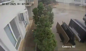 Caméra IP - Bulgaria